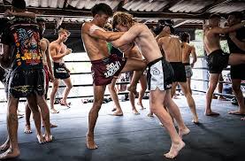 Image result for Muay Thai Clubs
