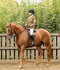 Image result for Civil Service Riding Club (Csrc)