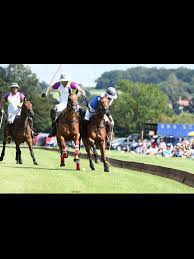 Image result for Taunton Vale Polo Club