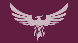 Image result for Wilmslow Lacrosse Club