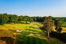 Image result for Woking Athletics Club