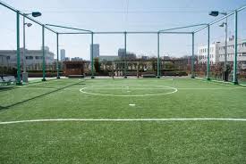 Image result for Greenmeadow Badminton Club