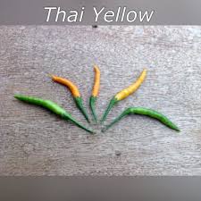 Afbeeldingsresultaat voor thai yellow hot pepper