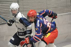 Image result for Borehamwood Crusaders