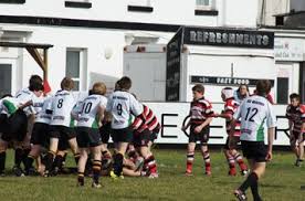 Image result for Teignmouth Rugby Football Club
