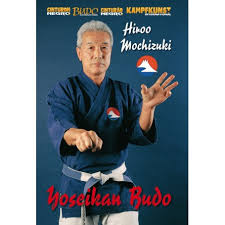 Image result for Yoseikan Budo England