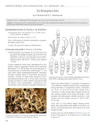 Attēlu rezultāti vaicājumam “Vouauxiomyces santessonii”
