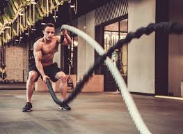 Image result for Keeping In Shape