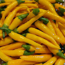 Afbeeldingsresultaat voor thai yellow hot pepper