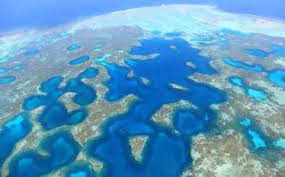 Image result for Great Western Divers