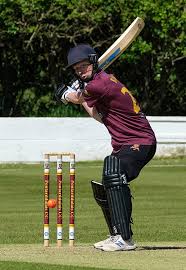 Image result for Pontarddulais Cricket Club