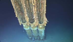 Image result for St. Albans Snorkelling Club (SASC)