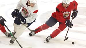 Image result for Pentland Panthers