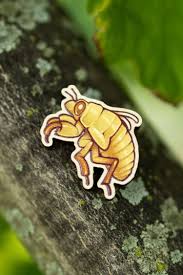 Attēlu rezultāti vaicājumam “exuvia”