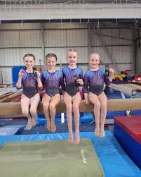 Image result for Sudbury Gymnastics Club