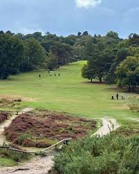 Image result for Reigate Heath Golf Club