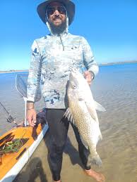 Image result for Pomadasys commersonnii