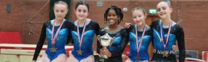 Image result for Wolverhampton Gymnastics Club