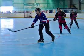 Image result for Dundee Ducks inline roller hockey club