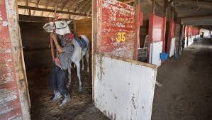 Image result for Old Park Riding Stables