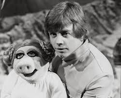 「モーデカイ レギュラーSHOW〜コリない2人〜」の画像検索結果