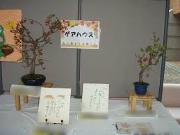 Image result for イエイ♫