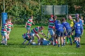 Image result for Macclesfield Rugby Union Football Club