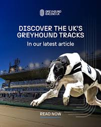 Image result for Reading Greyhound Track