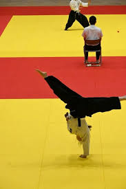 Image result for Tokei Martial Arts Club