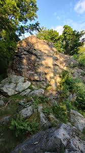 Image result for cesarskie