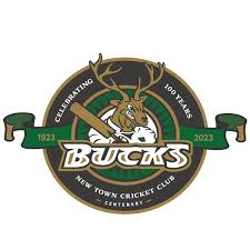 Image result for Beccles Town Cricket Club