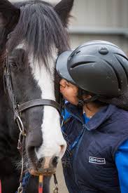 Image result for Riding For The Disabled Association