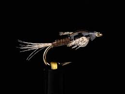 Attēlu rezultāti vaicājumam “Badhamia bethelii stalked”