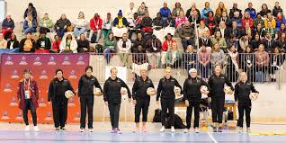 Image result for York University Netball Club