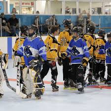 Image result for Halifax Roller Hockey Club