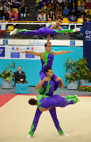 Image result for Sports Acro