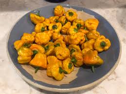 Afbeeldingsresultaat voor yellow mushroom hot pepper