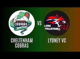 Image result for Chesterfield Cobras Volleyball Club