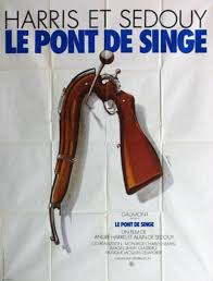 Image result for PONT DE SINGE