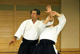 Image result for Aikido - Shobu UK (Newton in furness)