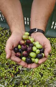 olives