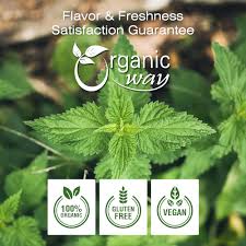 Attēlu rezultāti vaicājumam “Urtica dioica leaf”