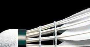 Image result for Camelford Badminton Club