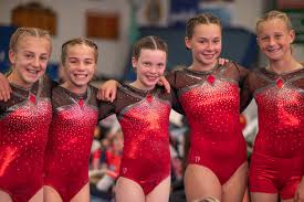 Image result for Lincoln Gymnastics Club