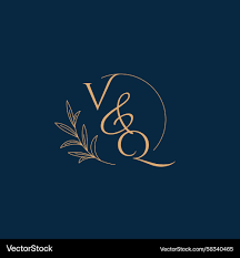 Image result for  v    q