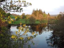 Image result for Dalmally Golf Club