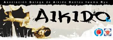 Image result for Iwama Shin Shin Aiki Shuren Kai