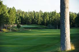 Image result for The Craythorne Golf Club