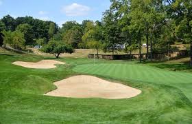 Image result for South Holderness Gc