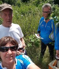 Image result for Dartford Orienteers (DFOK)